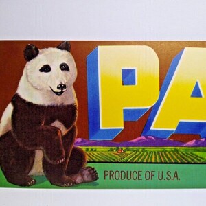 Panda Bear Crate Label Original Large Letter Farms 1940s Vintage Fruit Grapes Unique Gift
