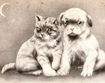 Cute Puppy Dog and Cat Posing By Crescent Moon 1909 V Colby Signed Postcard