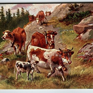 Postcard Cows Animals Rustic Mountains Rocks HKM Serie 228 A Muller Germany Unique Gift