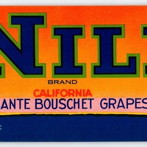 Nile Crate Label Egypt Camels Vintage Fruit California Grapes 1940s Vintage