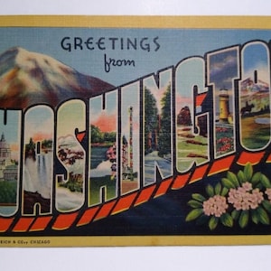 Carte postale en lin grande lettre Salutations de Washington Fleurs des montagnes inutilisées Cadeau unique