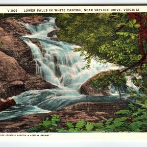 Carte postale vintage Lower Falls White Canyon Skyline Drive VA Asheville Linen E-790