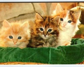 Cats Seated Vintage Lithograph Postcard of Three Kittens in Basket