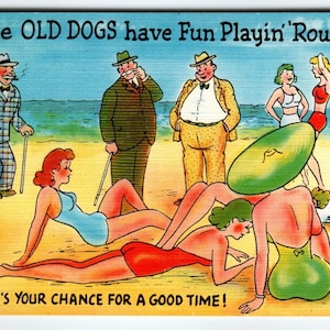 Die alten Hunde haben Spaß beim Spielen! - Here's Your Chance Leinen Postkarte 1940