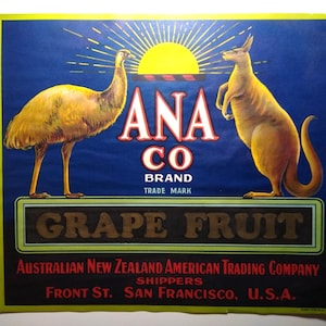 ANA Brand Grape Fruit Crate Label Emu Kangaroo Animal Art Original Vintage 1920s