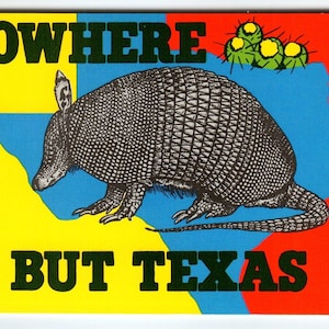Carte postale du Texas, carte Tatou, nulle part mais Chrome, vintage 1981