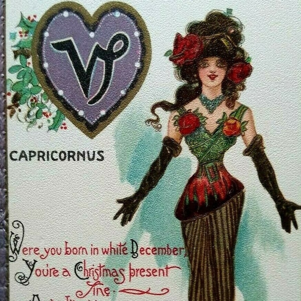 Tuck Postcard Signed Dwig Victorian Lady December Zodiac Capricorn Series 128 Unique Gift