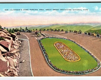 Vintage Postcard 525 Clingman’s Dome Parking Area – Great Smoky Mountains NC