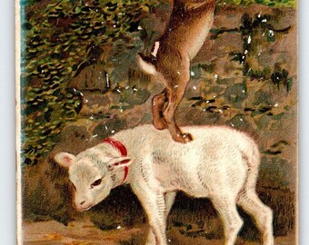 Easter Greetings Postcard Bunny Rabbit Stands On Lamb To Kiss Other Rabbit 1912