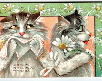 Humorous Cats Tuck Series 122 M. Boulanger Romantic Lovers Kittens Flowers 1908