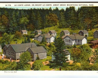 Le Conte Lodge Mount Le Conte Great Smokey Park North Carolina Linen Postcard