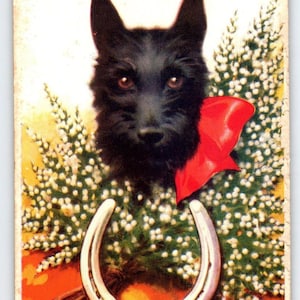 Scotty Dog Postcard A Taylor Scottish Terrier Puppy & Horseshoe Vintage Antique