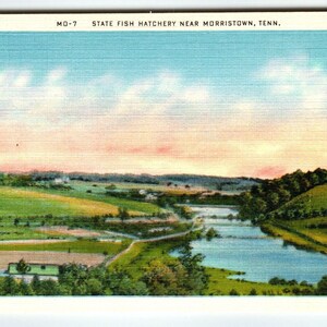 Écloserie d'État près de Morristown, Tennessee, carte postale vintage, cadeau unique de pêche au lin