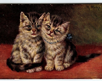Two Cats Pose Green Eyed Silver Brown Kittens M Stocks Vintage Antique Unposted