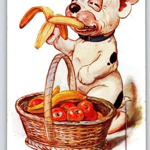 Bonzo Puppy Dog A Banana A Day Postcard Fantasy Anthropomorphic A.R.& Co. 1731 Unique Gift
