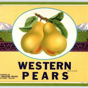 Western Pears Vintage Fruit Crate Label Wenatchee Washington 1940s Vintage