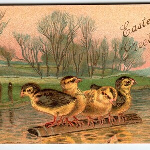 Ostern Postkarte Baby-Küken Vögel, die auf See schwimmen, Geprägtes Deutschland