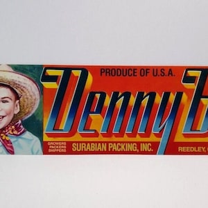Denny Boy Fruit Crate Label Young Smiling Western Boy Original Vintage 1960&#39;s Unique Gift