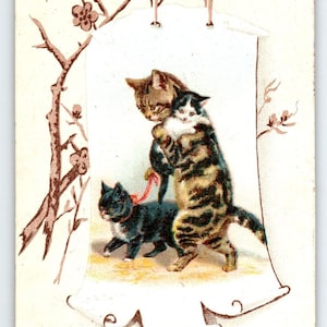 Stehende Katzenmutter geht und hält Baby Kätzchen Postkarte 1907 Ungeteilte Rückseite Einzigartiges Geschenk Postkarte