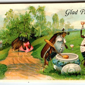 Carte Postale Insectes Habillés Fantasy Cafards Coléoptères Boire