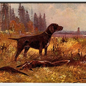 Toter FUCHS Fasan POINTER Hund Postkarte Müller Jagdbüchse Serie 7056 L&P