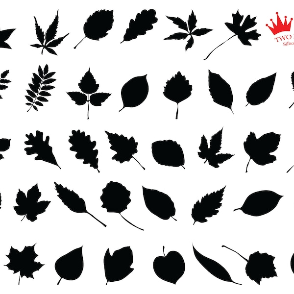 SVG leaf silhouette black set, decoration element design. Vector leaf icon on white background.SVG file. High quality JPG.Svg bundle