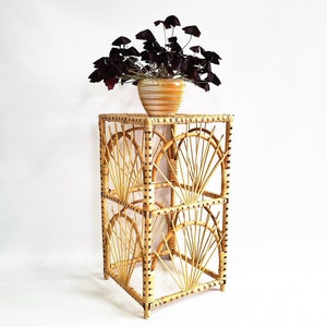 May include: A three-tiered bamboo plant stand with a geometric design. The stand is made of natural woven bamboo and has a light brown color. A potted plant with dark green leaves sits on the top tier.