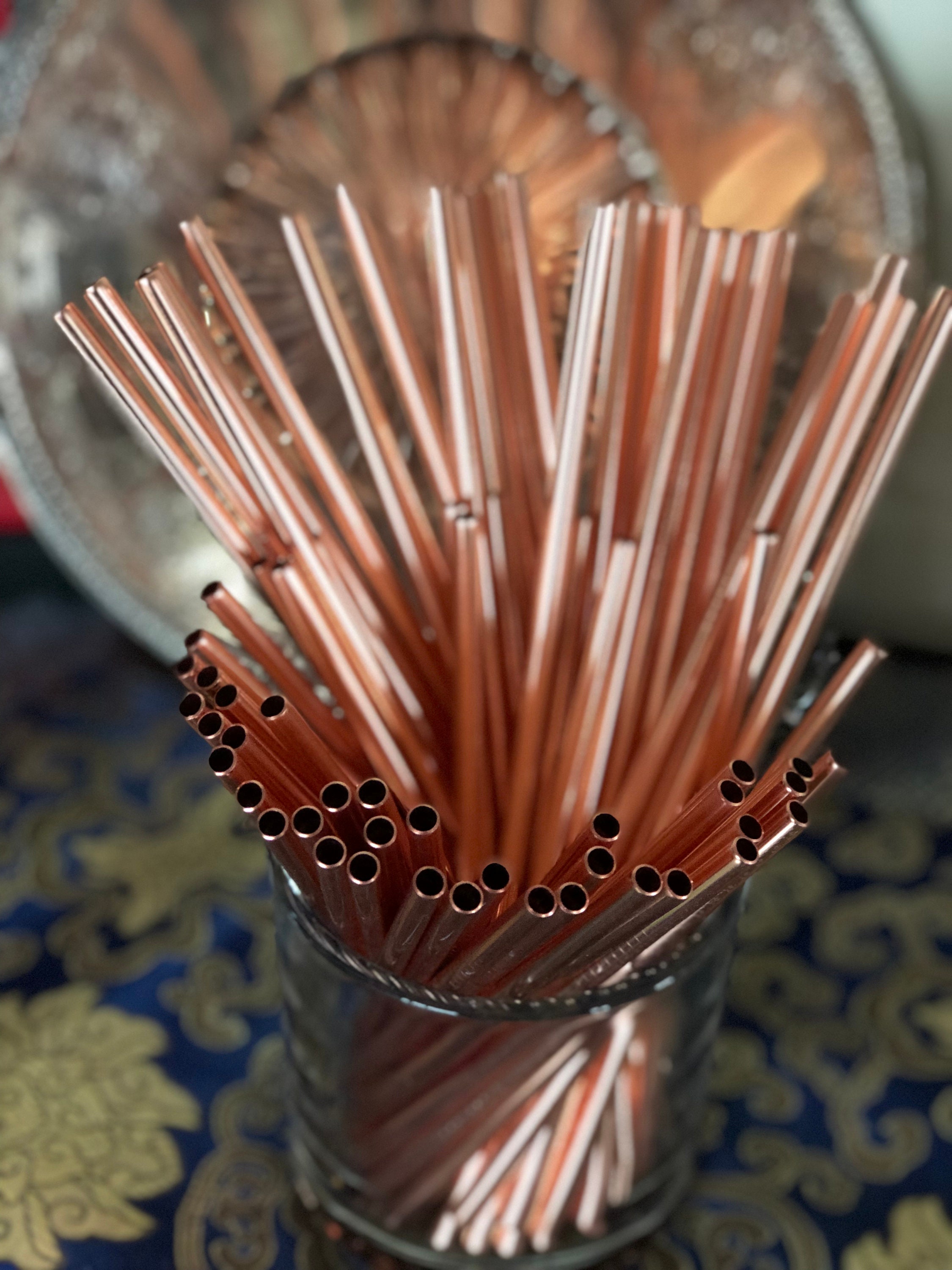 Reusable Cocktail Stainless Steel Straws 20 donated to Save Etsy