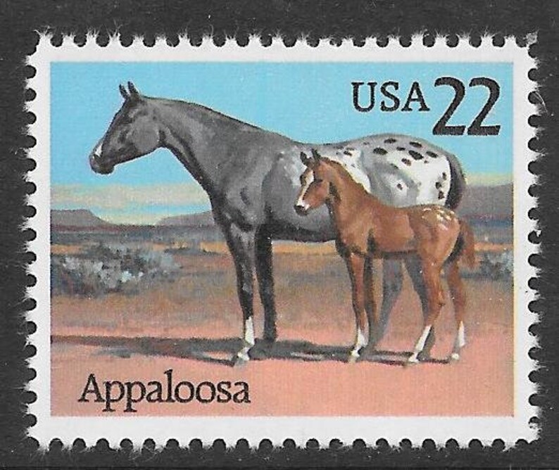 522c Appaloosa Horse Postage Stamps/ Unused Mint/USPS Etsy
