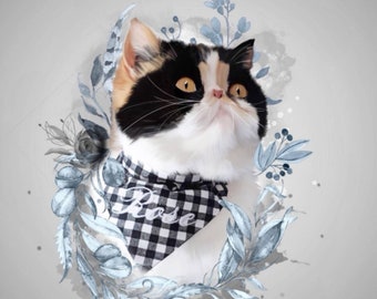 brushing dogs teeth reddit