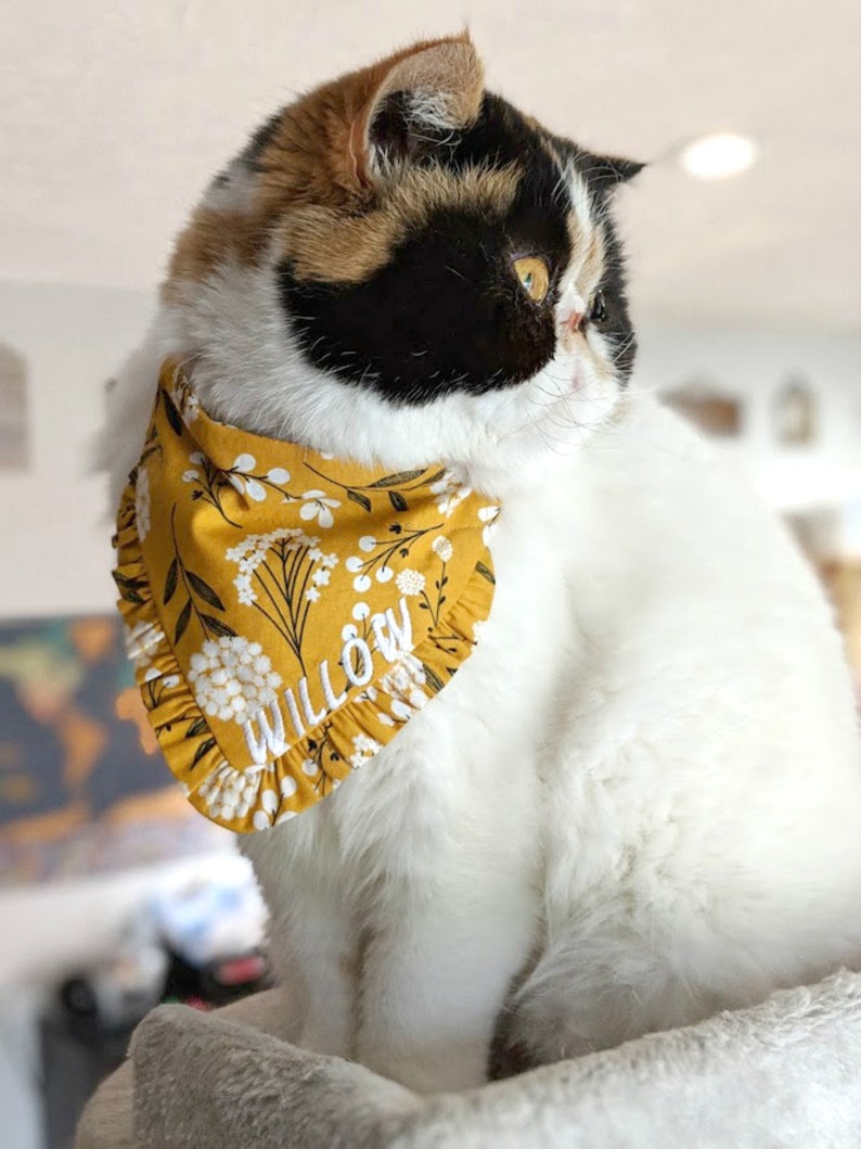 Personalized Cat Bandana Personalized Cat Bib Bandana Etsy