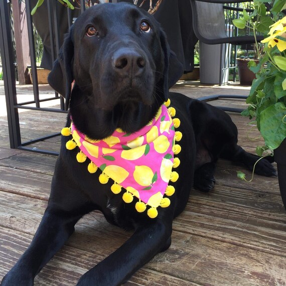 Dog Lemon Bandana Dog Bandana With Pom Poms Lemon Dog Etsy