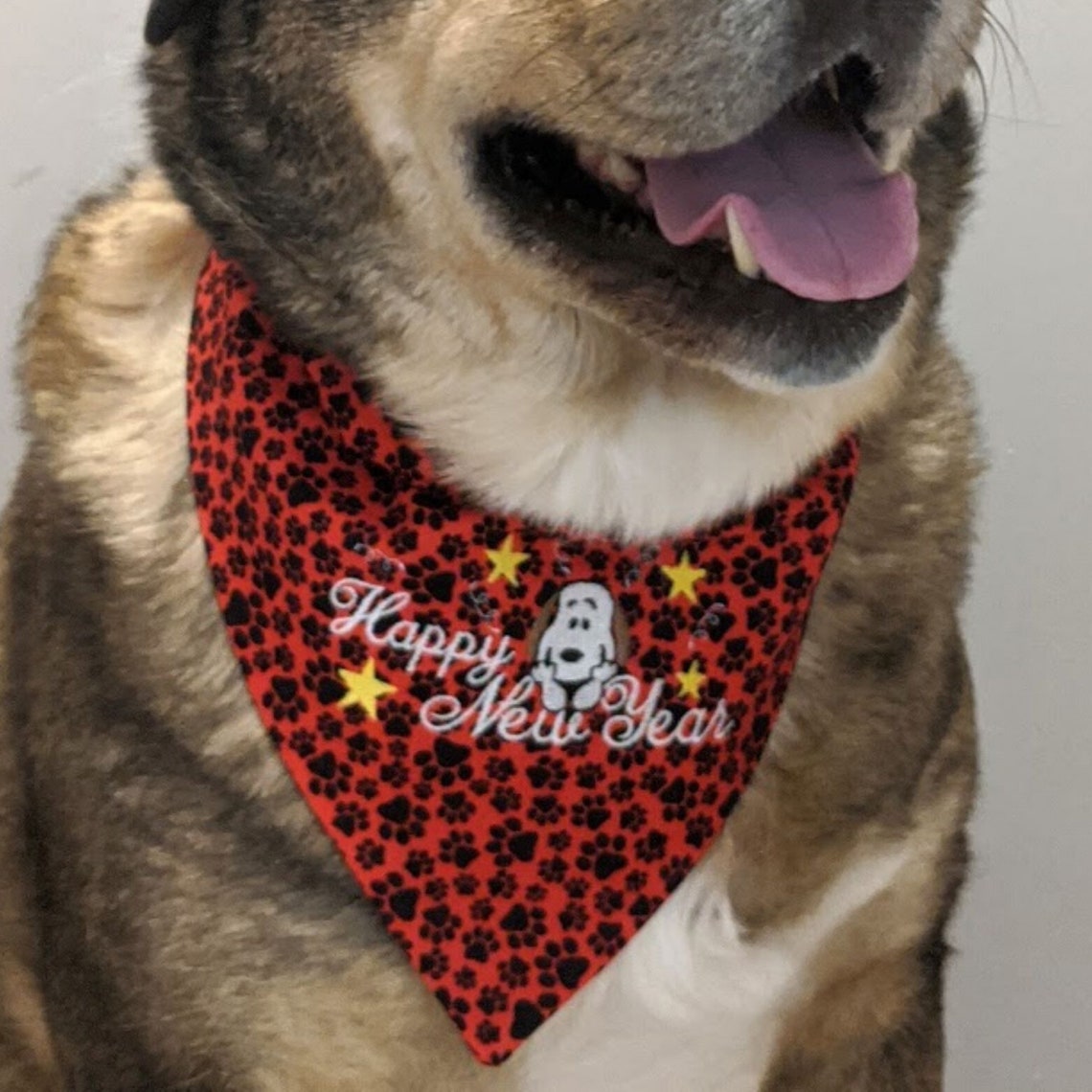 Happy New Year Dog Bandana Holiday Dog Bandana Reversible | Etsy