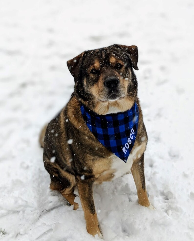 Red Checkered Dog Bib Bandana Checkered Bib Bandana. Custom Buffalo Plaid Bandana Checkered Dog Bandana Personalized Bandana for Dog