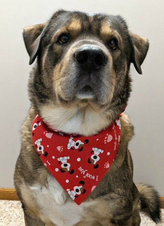 Dog with bandana on neck Clearance