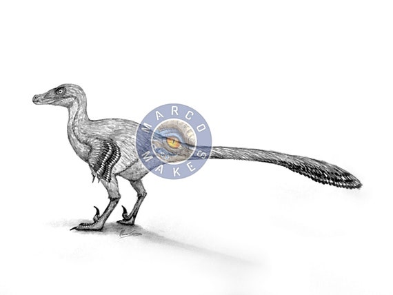 Raptor Dinosaur Sketch Digital Download | Etsy