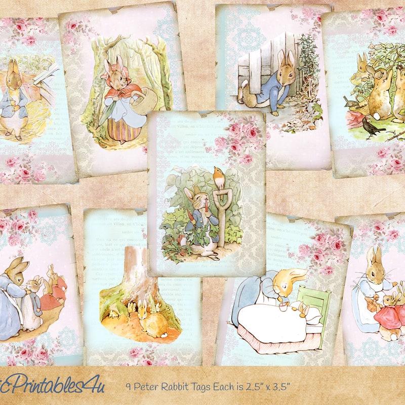 Peter Rabbit Drawing Pattern Peter Rabbit Drawing - Etsy