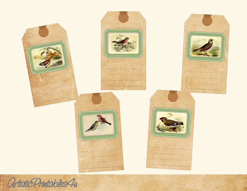 Bird Tags 5 Printable Bird Tags Instant Download Digital Etsy