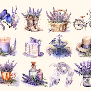 Watercolor Lavender Clipart Lavender Images and Stickers or Fussy Cuts, Commercial Use Allowed Instant Download, PNG, Transparent background
