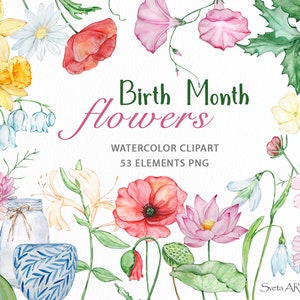 Aquarelle fleur du mois de naissance des cliparts | Floral PNG | Fleurs d'anniversaire | Clipart imprimable bouquet de fleurs sauvages | Clipart botanique élégant png