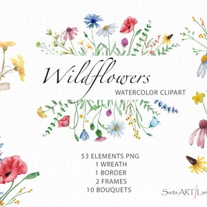 Clipart de flores silvestres em aquarela | Clipart de prado | buquê de flores silvestres | Moldura floral de verão | png botânico | floral de campo | flor elegante