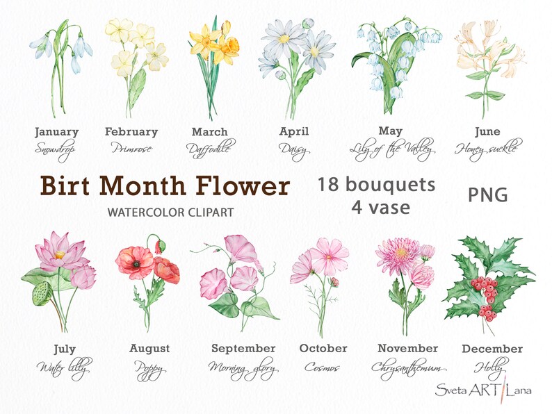 Watercolor Birth Month Flower Clipart Floral PNG Birthday - Etsy