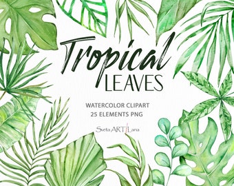 Watercolor Tropical Leaves Clipart | Greenery Clipart | Tropical plants | Monstera leaf | Evergreen print | Botanical design png | Jungle