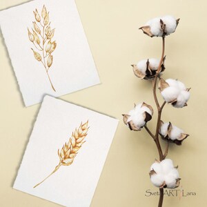 Watercolor wheat stalks