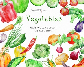 Watercolor Vegetables Clipart | Healthy Food | Home Kitchen Ingredient | Garden Veggie png | Farmhouse png | Vegan Food | Garden Harvest png
