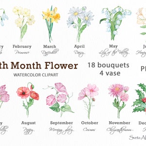 Clipart di fiori del mese di nascita ad acquerello / PNG floreali eleganti / Fiori di compleanno / Clipart di bouquet di fiori di campo / Clipart botaniche / Verde