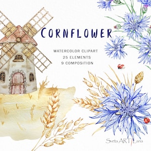 Clipart acquerello di fiordaliso / Clipart fattoria / PNG di fiori blu / Bouquet di fiori di campo / Illustrazione estiva di cottage / Illustrazione botanica