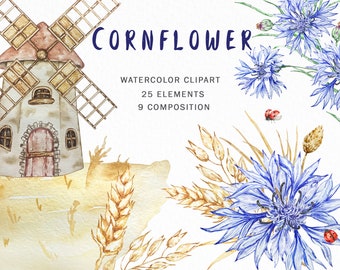 Watercolor Cornflower Clipart | Farmhouse Clipart | Blue Flowers png | Wildflowers Bouquet | Summer Cottagecore | Botanical illustration