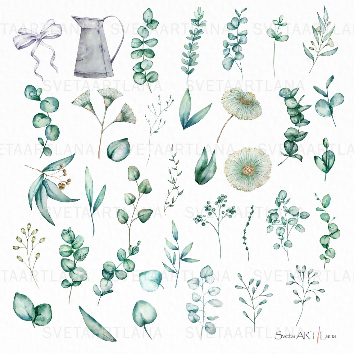 Watercolor Eucalyptus Clipart | Greenery Floral Clipart Png | Evergreen ...