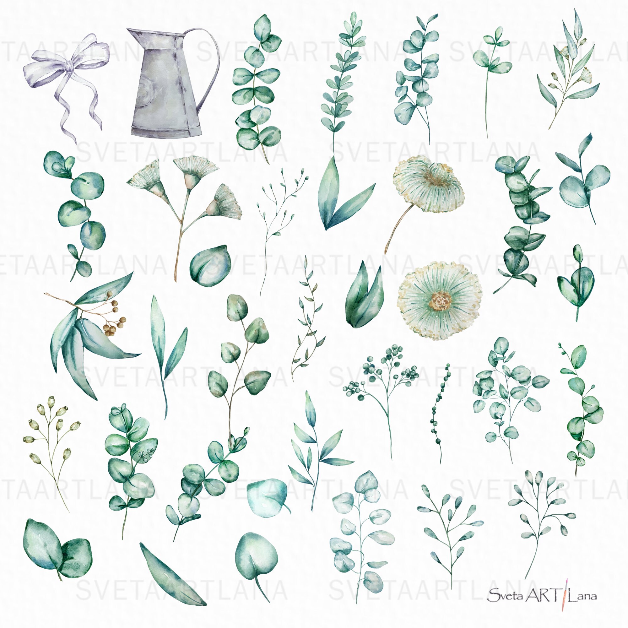 Watercolor Eucalyptus Clipart | Greenery Floral Clipart Png | Evergreen ...